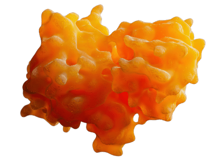 Enzymes